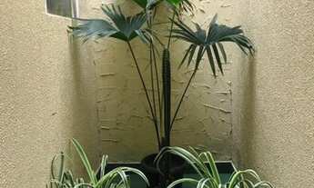 Imagem 4: Vende-se linda casa no cajá 8° etapa