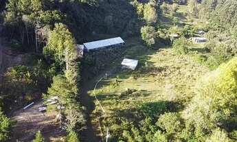 Imagem 5: Gramado - Sítio - SANDER