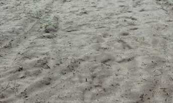 Imagem 4: Vendo ou troco três terreno em Tibiri 2