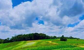 Imagem: 11o- Terreno para chácara, sítio ou investimento