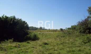 Imagem 3: Nova Santa Rita - Terreno Padrão - Califórnia