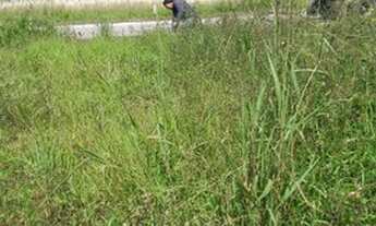 Imagem 3: Vendo Terreno 7x20 loteamento vitória ilhota pedra de amolar