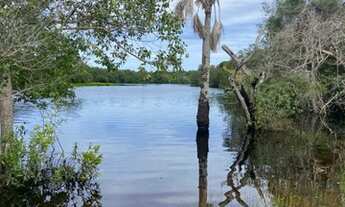 Imagem 2: Fazenda/Sítio/Chácara para venda possui 0 metros quadrados em Zona Rural - Cocalinho - Mat