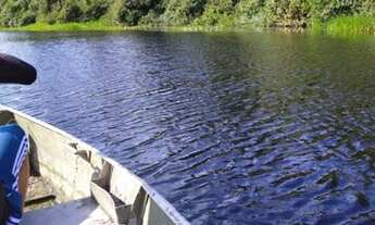 Imagem: Fazenda/Sítio/Chácara para venda possui