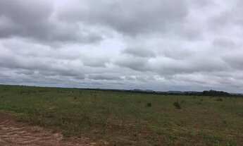 Imagem 2: Fazenda a venda em Goiatins - TO