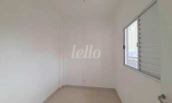 Imagem 6: São Paulo - Apartamento Padrão - Casa Verde