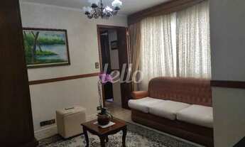 Imagem 2: São Paulo - Apartamento Padrão - Tatuapé