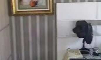 Imagem 2: Alugo Brisas Life Mobiliado