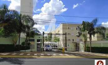 Imagem 7: Apartamento (tipo - padrao) 2 dormitórios, cozinha planejada, portaria 24hs, lazer, em con