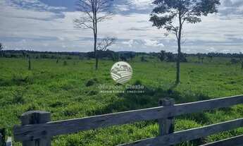 Imagem 3: Venda - Sítio - Machadinho D'Oeste - 6,5 alqueires