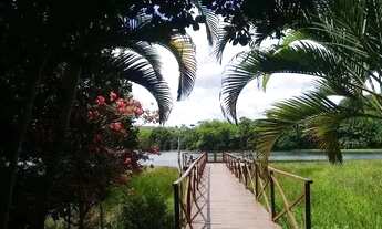 Imagem 2: Terreno para Venda em Simões Filho, Acupe de Brotas