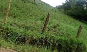 Imagem 3: Vendo excelente Fazenda pronta em ARATUIPE