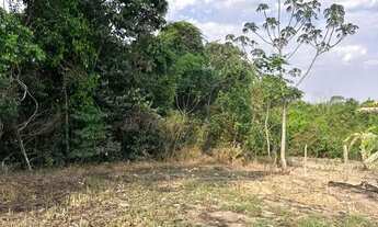 Imagem 7: Chácara Capivari dos beires, Abadiânia