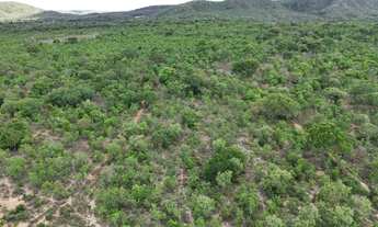 Imagem: Propriedade a venda em Unaí/MG com70 hectares