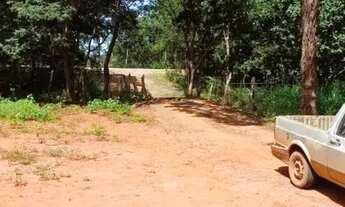 Imagem 6: Fazenda / Sítios / Chácaras à venda em Felixlândia