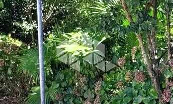 Imagem 7: Lindo Terreno de esquina com 582m2 no Bairro Imigrante