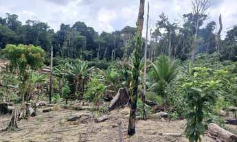 Imagem 6: Vendo terreno KM 85 BR174