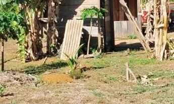 Imagem 3: ? MEGA OPORTUNIDADE! CHÁCARA DE 5 HECTARES POR R$ 120 MIL