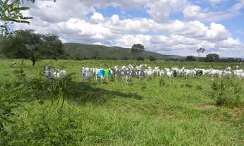 Imagem: FAZENDA À VENDA - 1.033 HECTARES - ENGENHEIRO