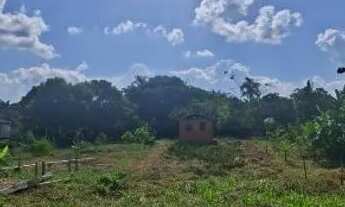 Imagem 2: Terreno na estrada de Autazes km 53
