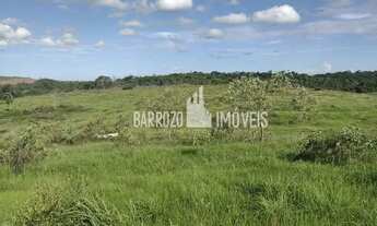 Imagem 4: Barrozo Imóveis - Fazenda a venda com 49.9 ha (10.3 alq) em Araruama - 70% plana