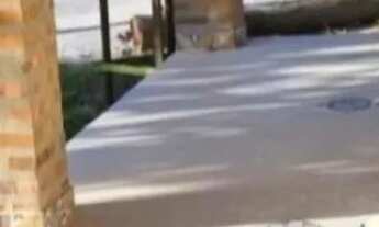 Imagem: Casa na Praia de Costa Dourada