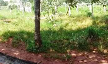 Imagem 2: Fazenda / Sítios / Chácaras à venda em Felixlândia