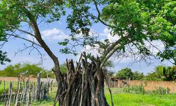 Imagem 2: Terreno na Cerâmica medindo 2.400 metros quadrados