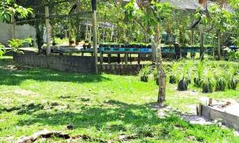 Imagem 3: Sítio 250 x 1.000 na AM 010 km 123 180.001,00