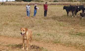 Imagem 4: Vendo ótimo sítio ESCRITURADO E REGISTRADO em nova Petrópolis