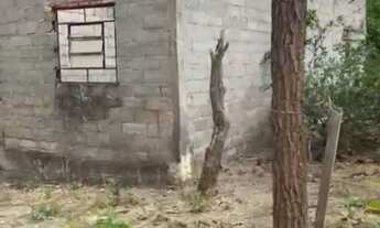 Imagem 4: Vendo este Lote Terreno / lote com venda por R$75.000