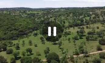 Imagem 5: Cromínia - São 8.6 alq. situada à 64 km de Goiânia -BR 153, sendo 50 km de asfalto e 14