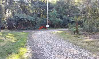 Imagem 2: Lote em Rua Abutilon - Colinas - São Francisco de Paula/RS