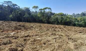 Imagem 6: Chácara 1 km da estrada da Ribeira na Embrapa