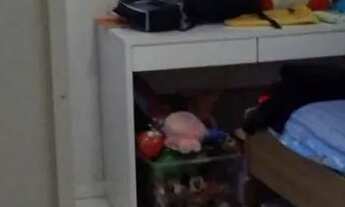 Imagem 2: Apartamento com quintal privativo