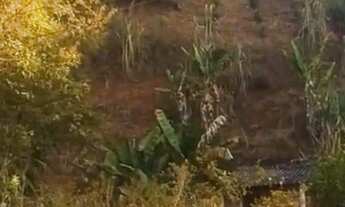 Imagem 6: Sítio Chácara com venda por R$300.000