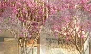 Imagem 6: Dune Simple Life: Apartamentos de 2 Quartos com Suíte na Aruana