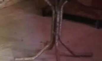 Imagem 5: Casa na vila Maranhão