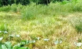 Imagem 5: CAXIAS DO SUL - Terreno Padrão - NOSSA SENHORA DAS GRAÇAS