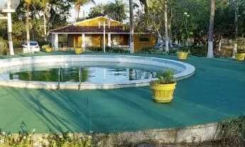 Imagem: SITIO LOCALIZADO EM SERRINHA-BA, NA ZONA