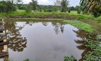 Imagem: Sítio Gapara/Maracanã