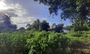 Imagem 7: TERRENO para vender na cidade de CAUCAIA-CE