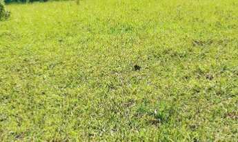 Imagem 7: Vendo terreno em Atibaia 500m Bairro do tanque