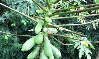 Imagem 2: Santana de Parnaíba - Casa de Condomínio - PORTAL DAS ACACIAS