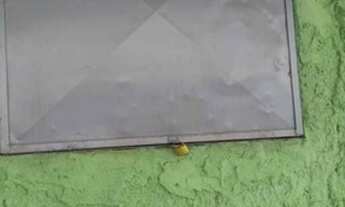 Imagem 6: Pit dog Galpão / depósito com aluguel por R$550 /mês