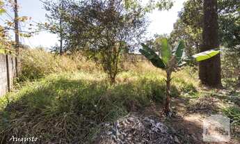 Imagem 2: Casa em condomínio à Venda - Ipê, 360 m²