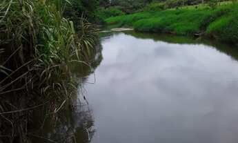 Imagem 4: Vende se uma Fazenda 60 Alq. em Guaraqueçaba e um Sitio em Paranaguá 14 Alq