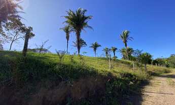 Imagem 7: Fazenda 25 alqueires em Cocalzinho - Go