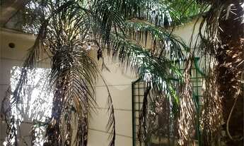 Imagem 5: Prédio Avenida Nova Cantareira