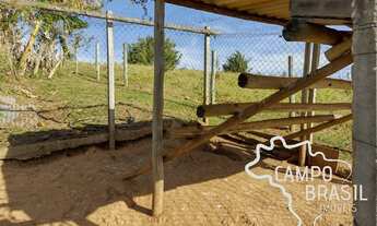 Imagem 2: CHÁCARA 7.000M² PRÓXIMA AO ASFALTO EM JAMBEIRO !